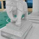 克拉玛依 白麻花岗岩动物异形石雕-大象