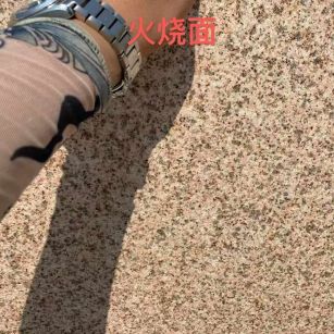 克拉玛依黄金麻火烧面