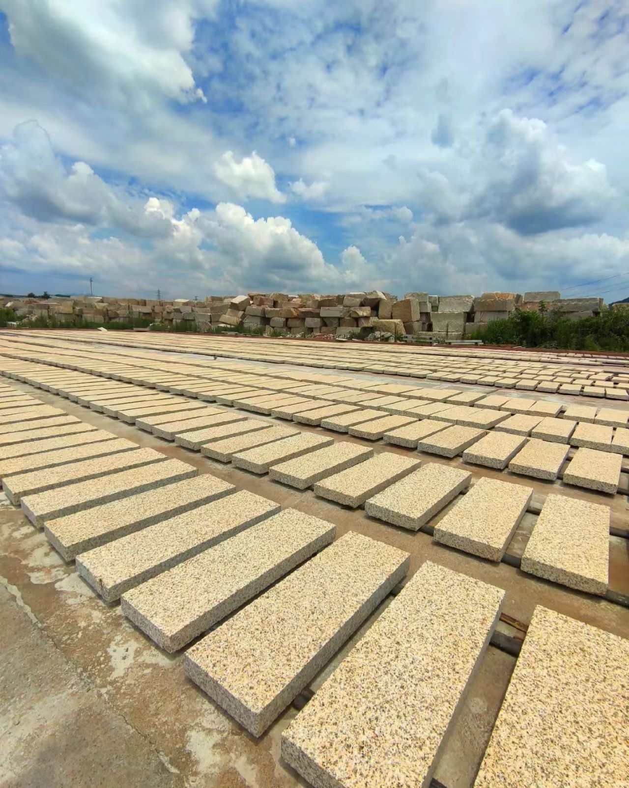 克拉玛依 黄金麻花岗岩荔枝面地铺石防护中